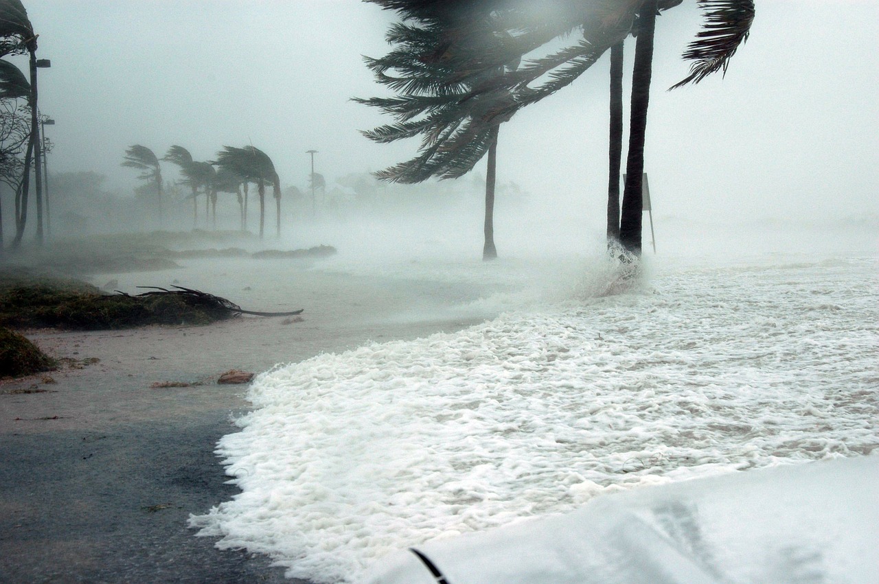 Image - key west florida hurricane dennis