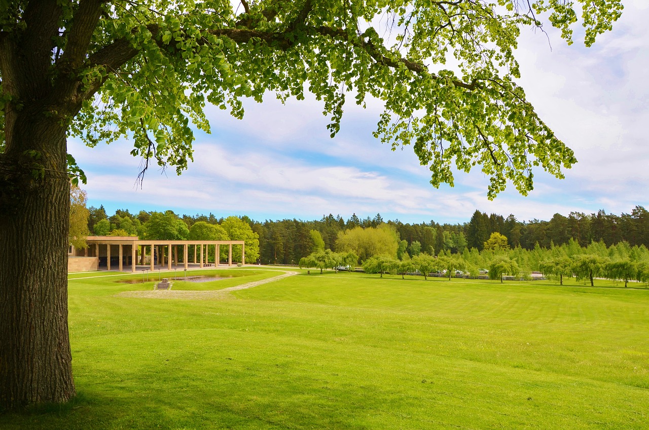 Image - natur grass summer green spring