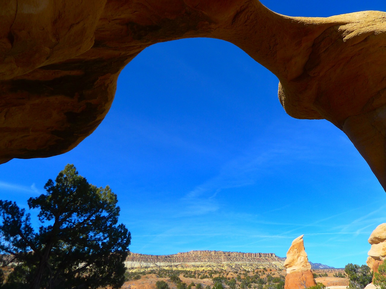 Image - utah arch trees mountains nature