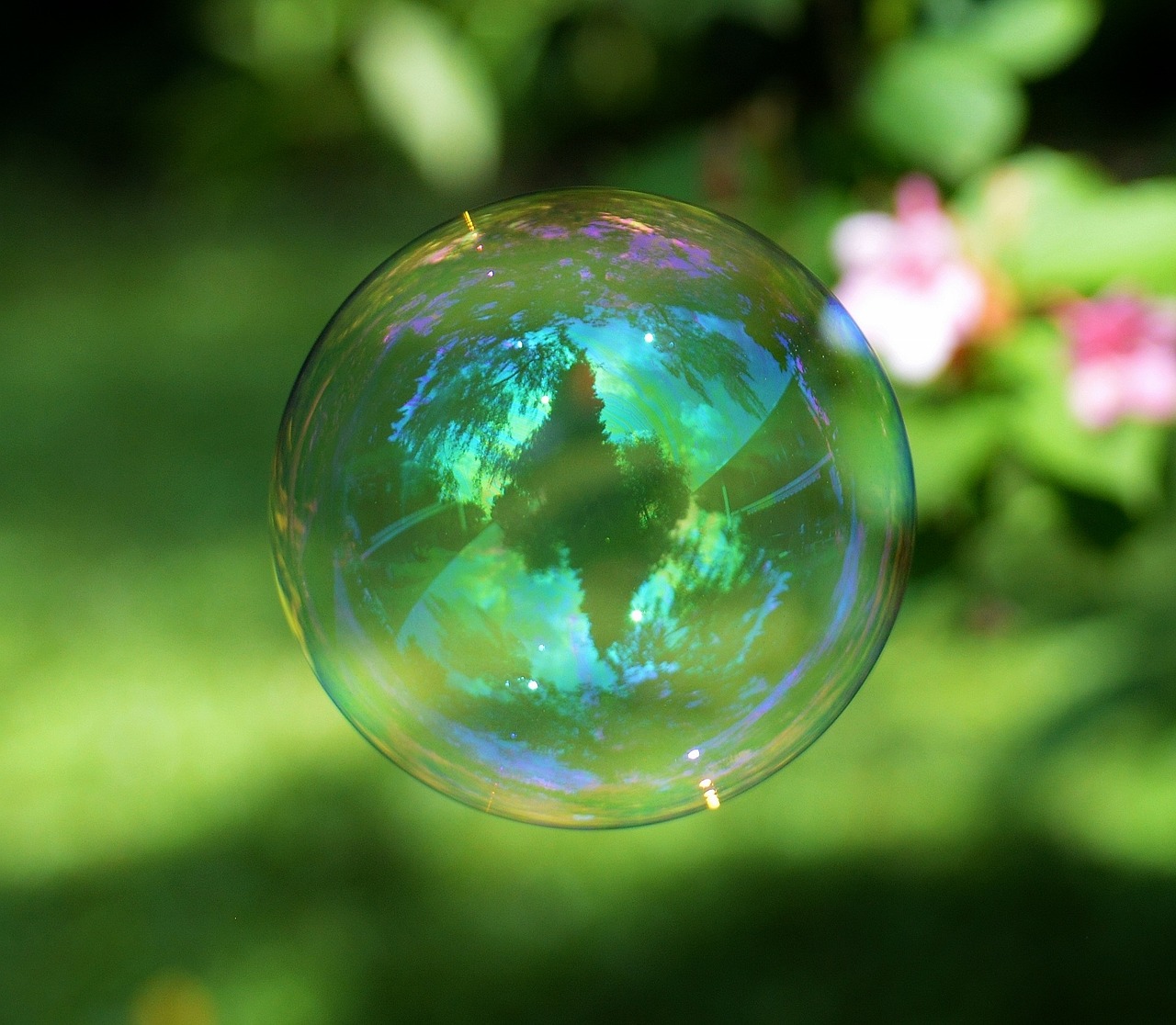 Image - soap bubble colorful ball