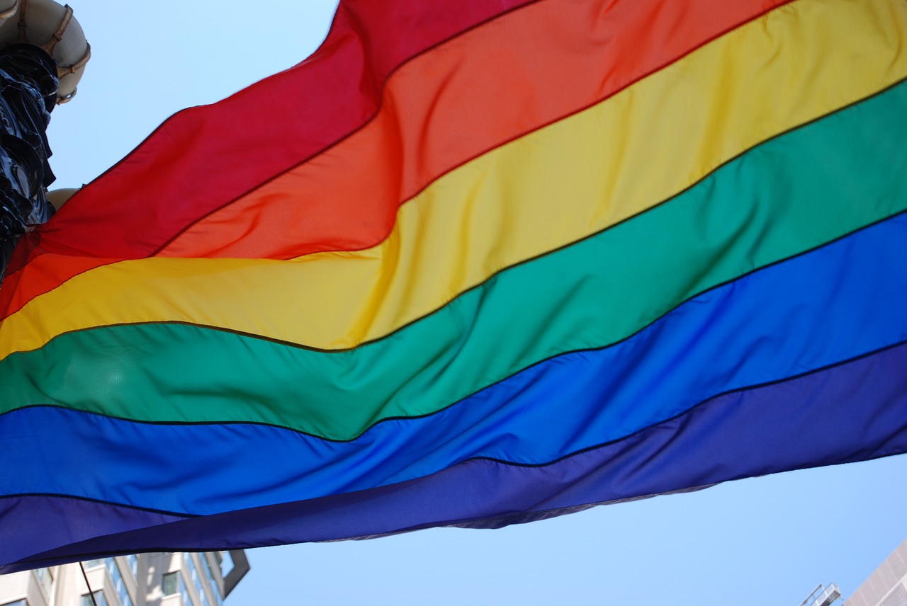 Image - pride lgbt flag rainbow community