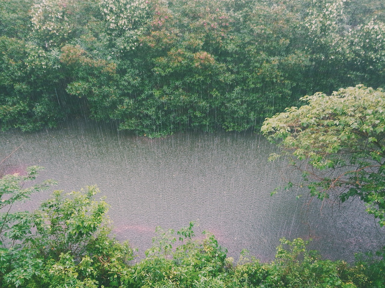 Image - raining rain creek water trees