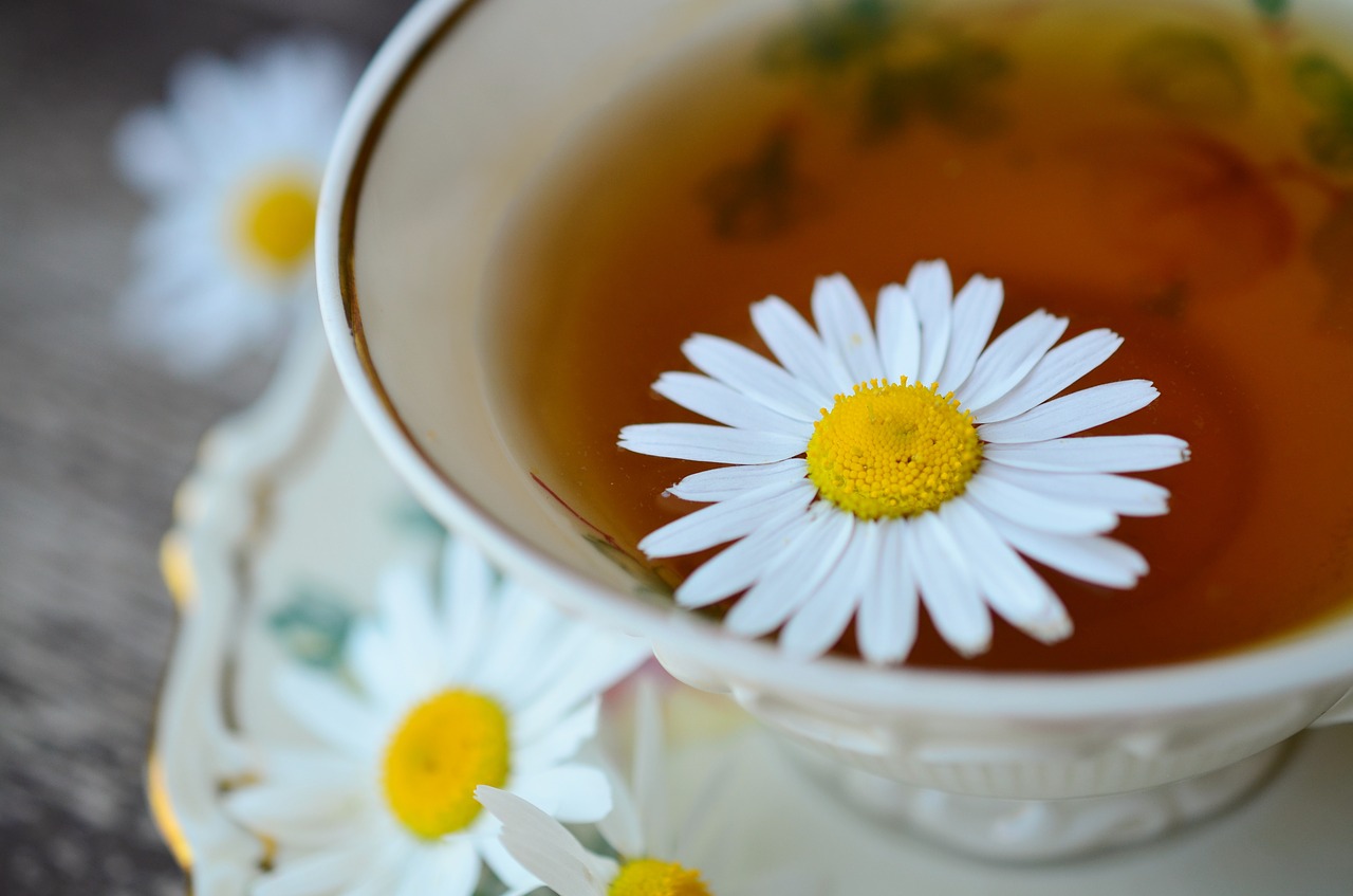 Image - chamomile chamomile tea tee
