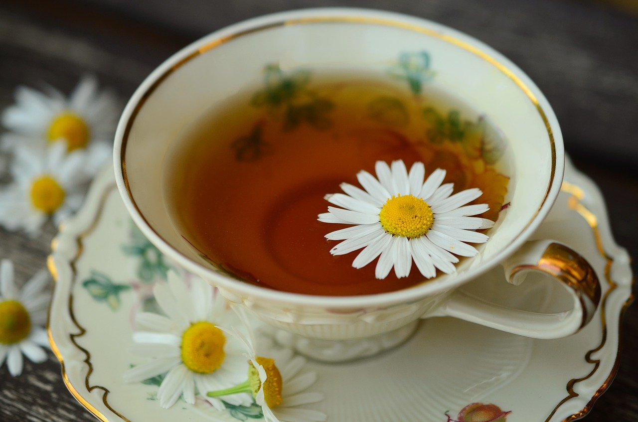 Image - chamomile chamomile tea cup