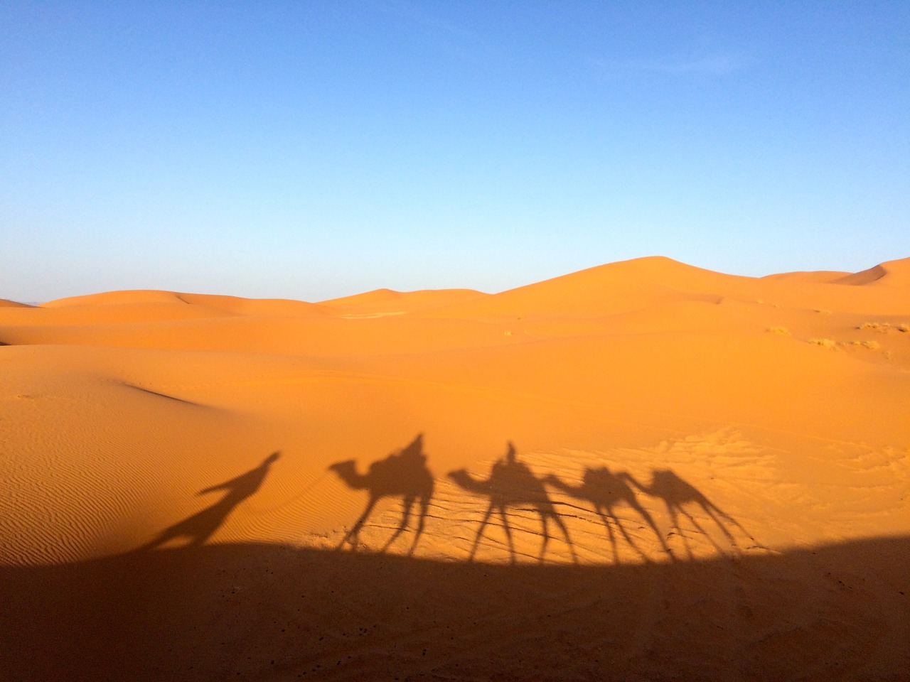 Image - sahara sand nature desert dry