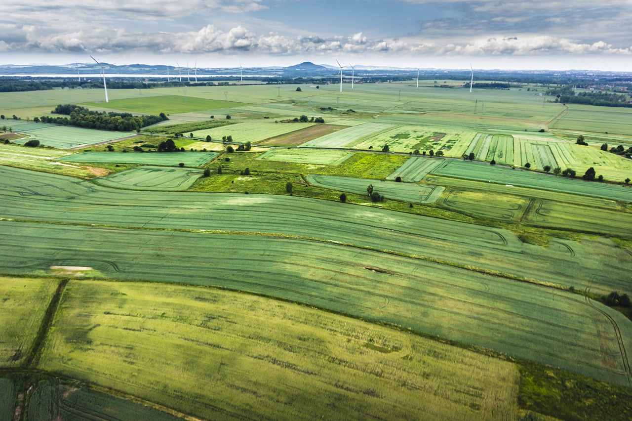 Image - field agriculture nature earth