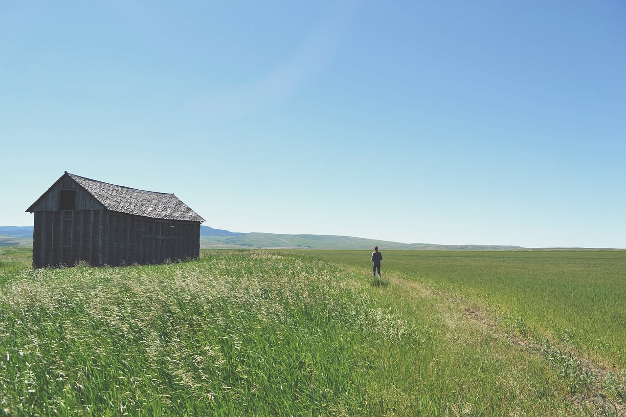 Image - field commitment determination