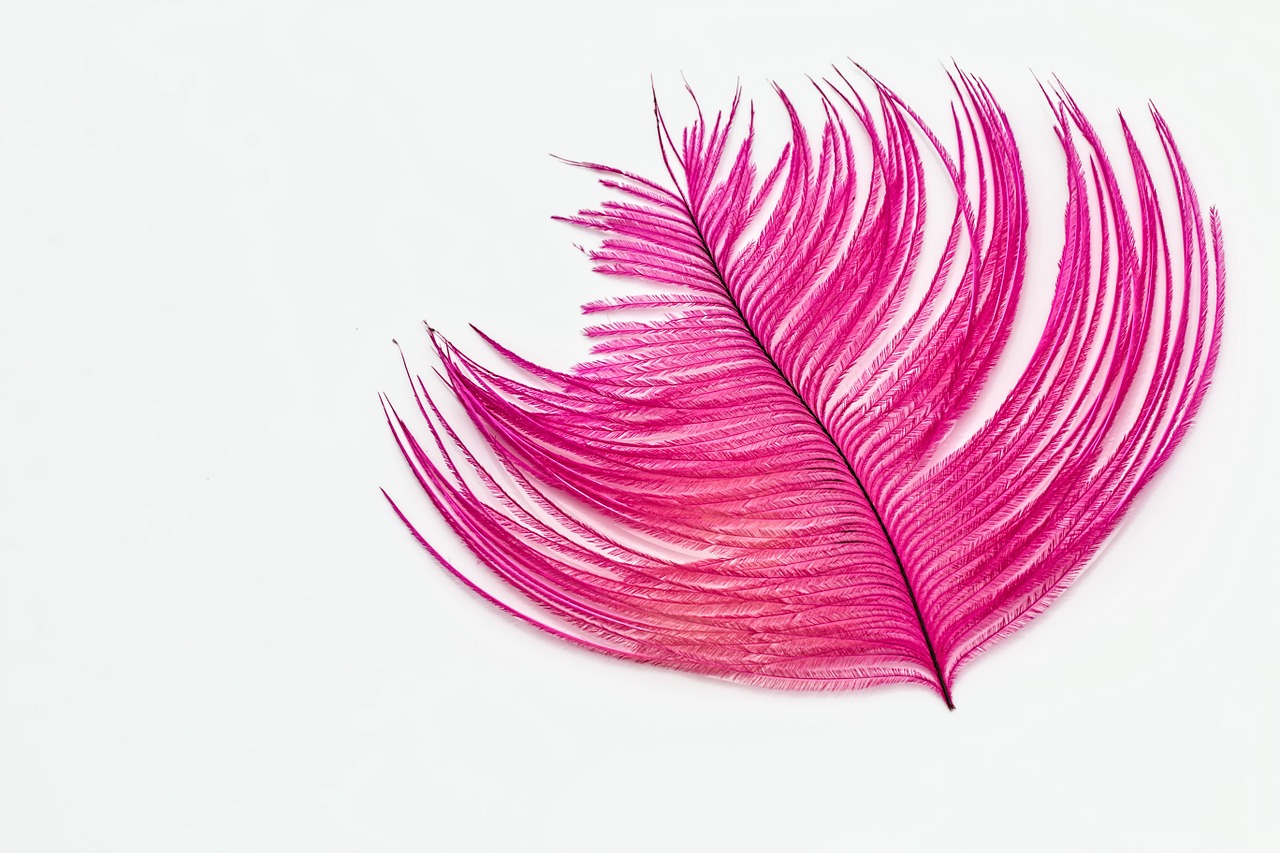 Image - feather desktop wallpaper