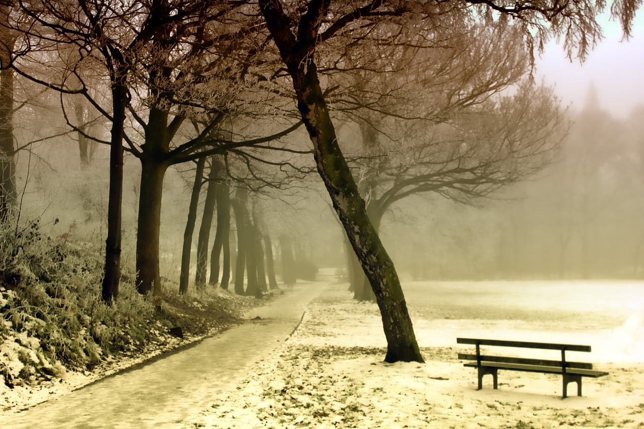 Image - winter landscape snow nature cold