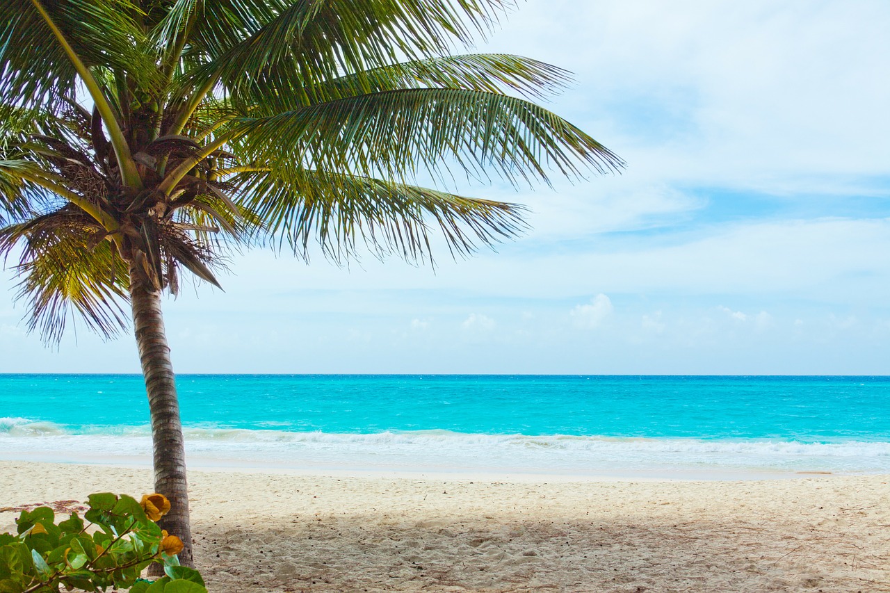 Image - beach beautiful blue coast