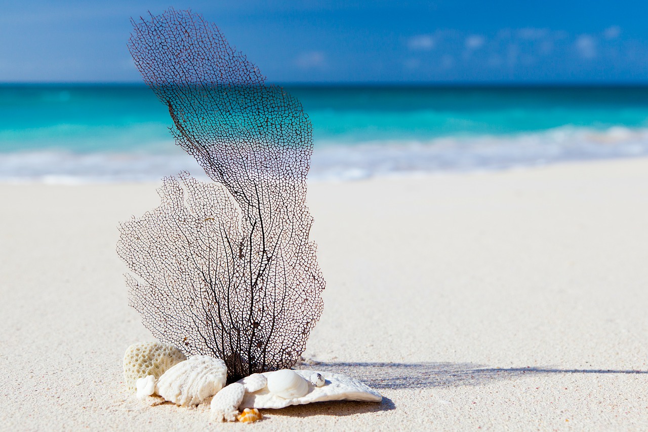 Image - beach caribbean blue beauty