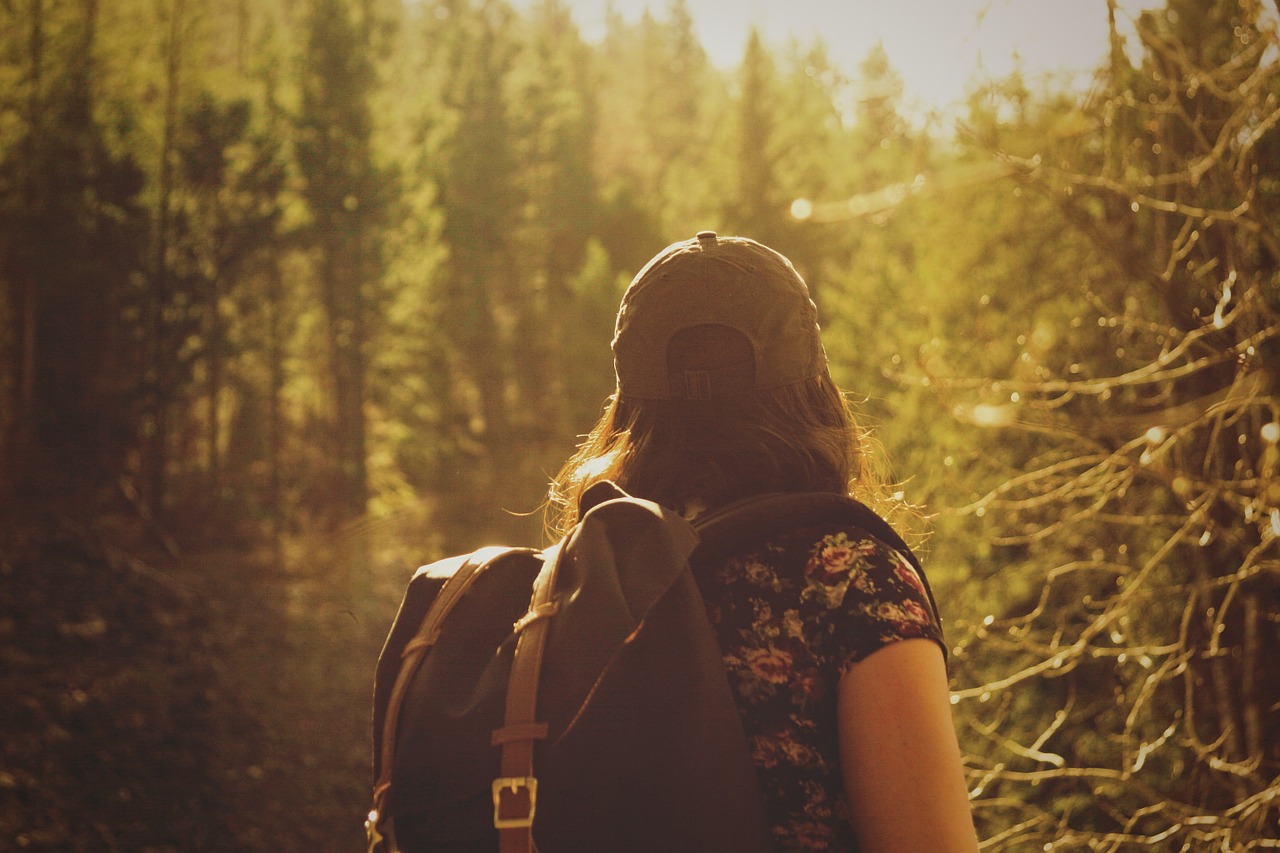 Image - hiker hiking nature hipster