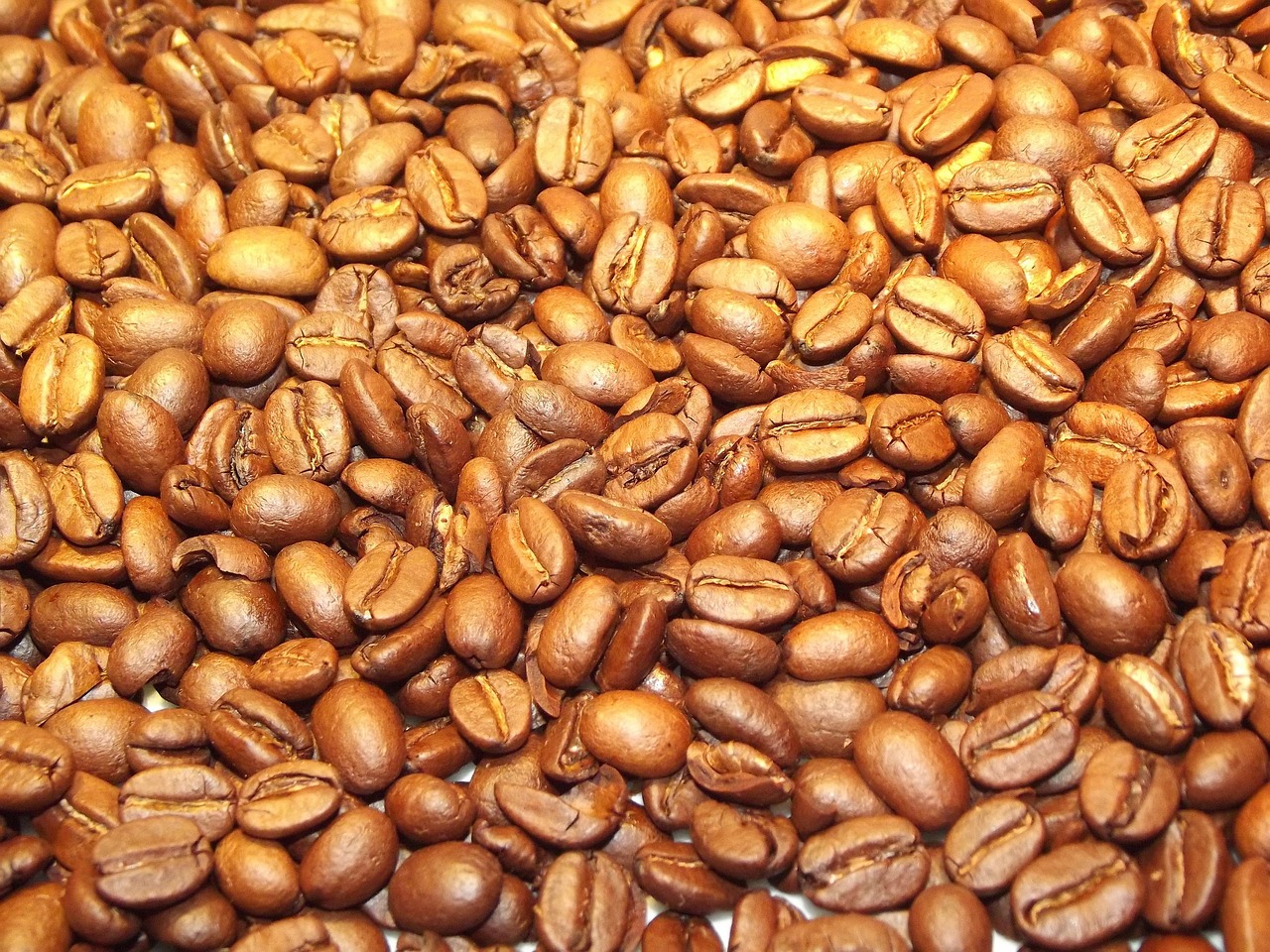 Image - coffee beans coffee beans golden