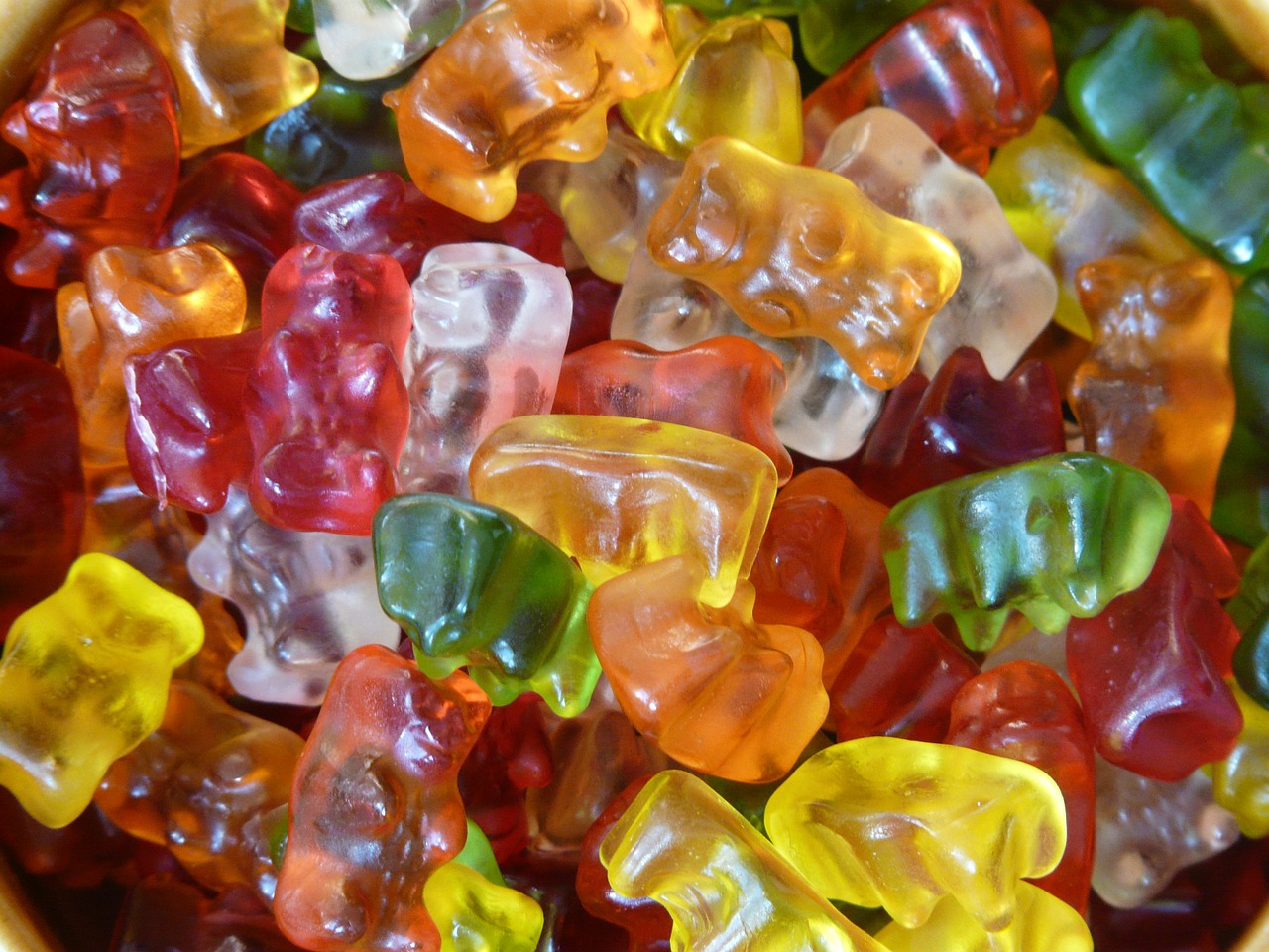 Image - gummi bears fruit gums bear