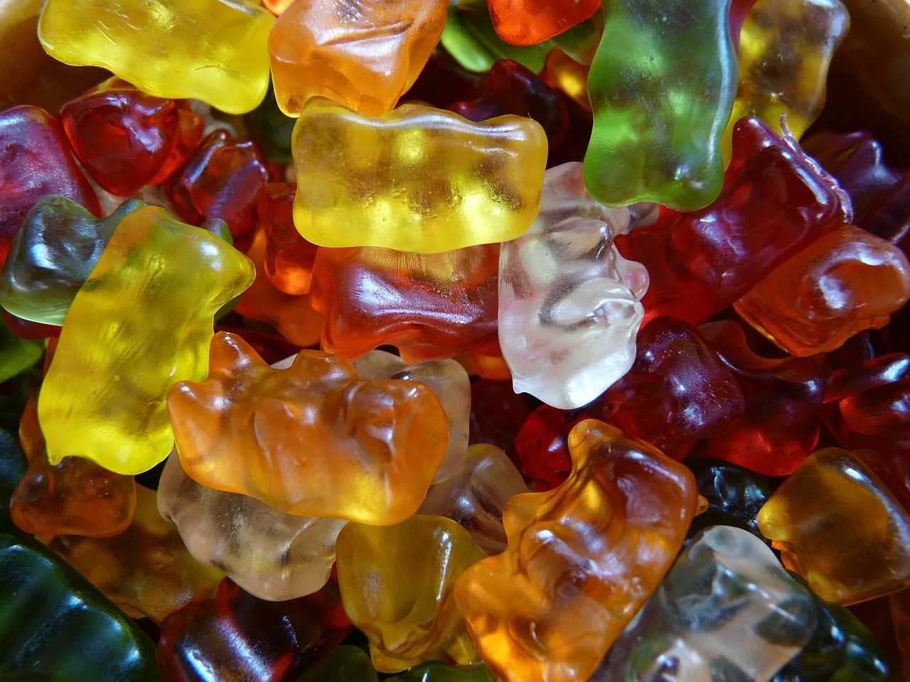 Image - gummi bears fruit gums bear