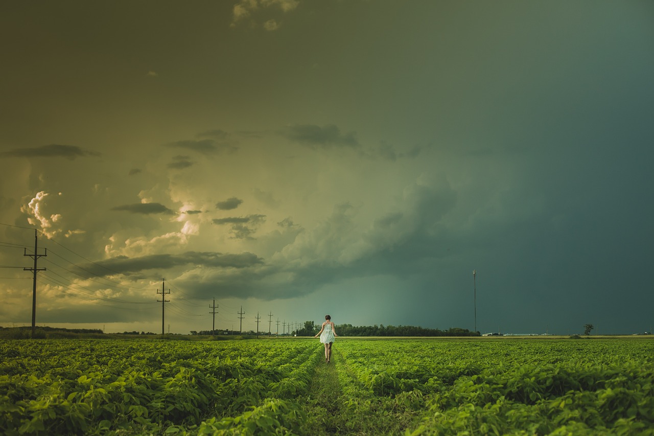 Image - field woman walk farm rural