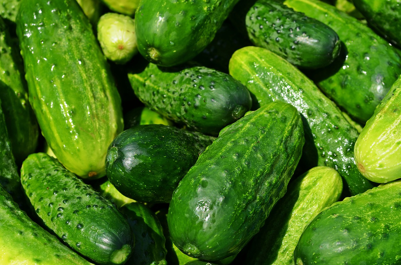 Image - cucumbers vegetables eating kitchen