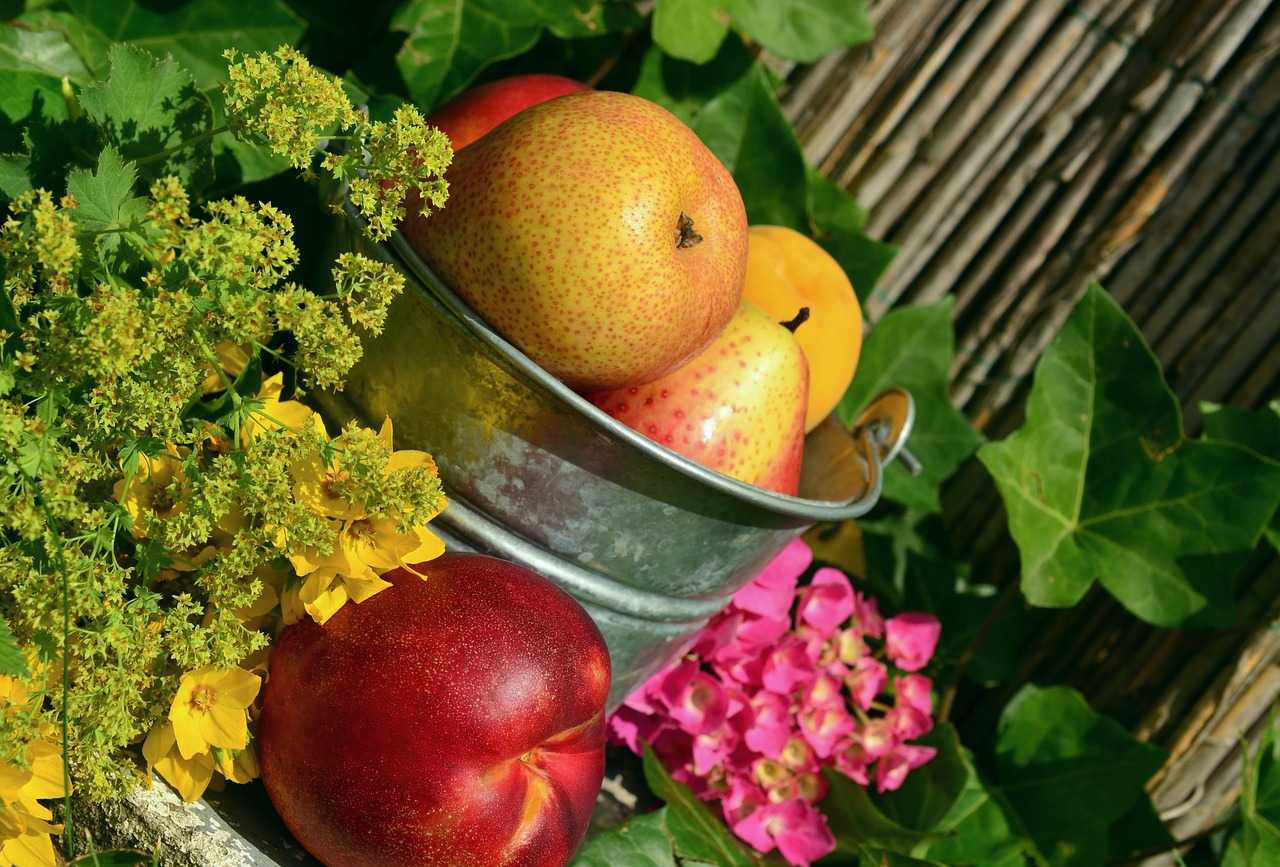 Image - fruits garden fruit harvest