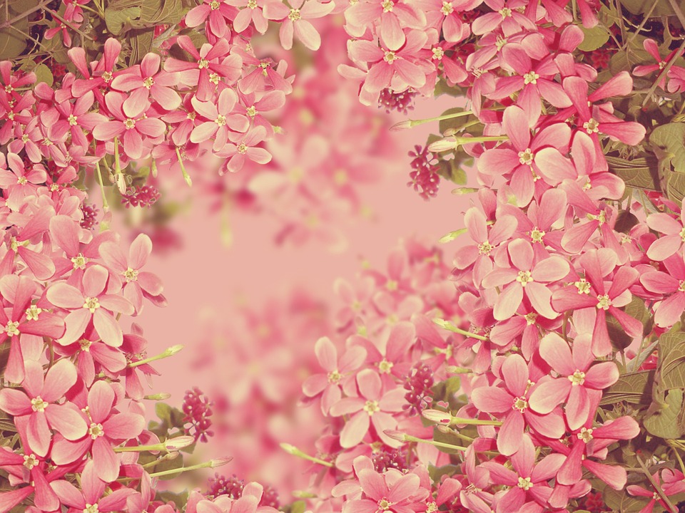 Image - background texture floral plant