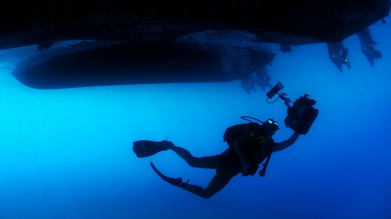 Image - diver diving swimming sea ocean