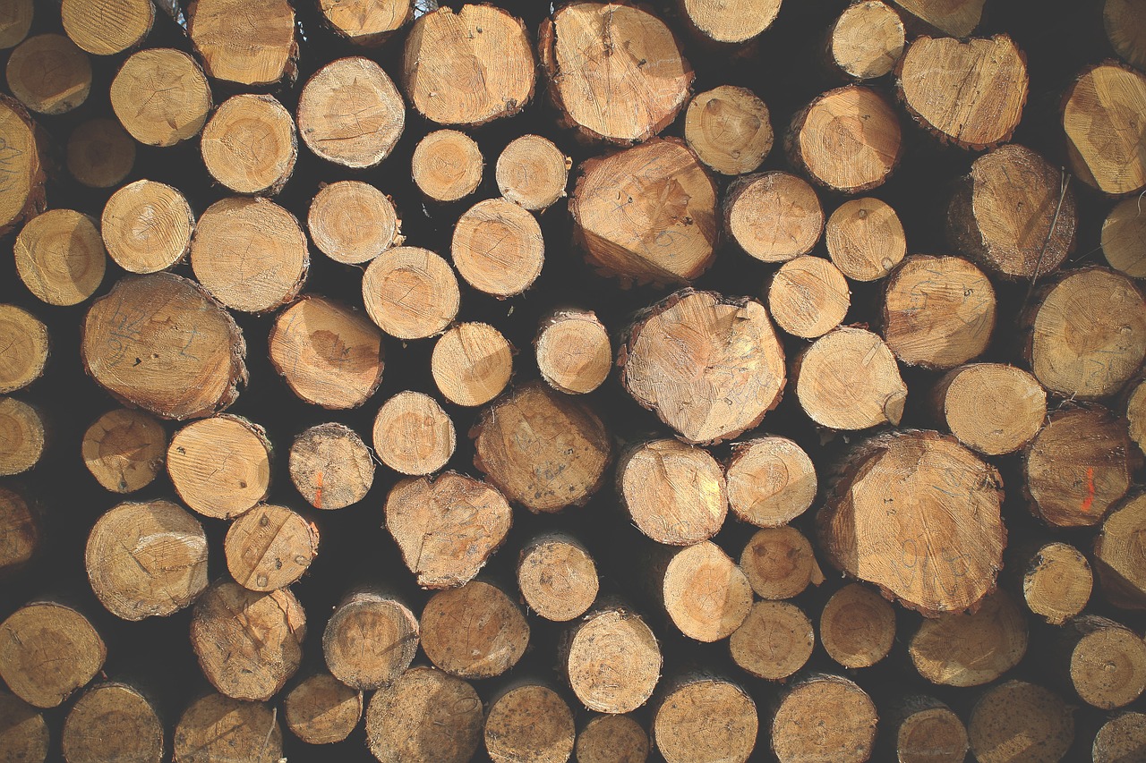 Image - logs texture pattern background