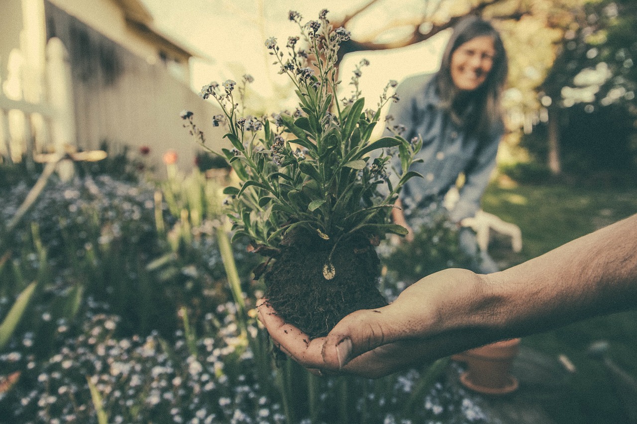 Image - planting flowers garden family