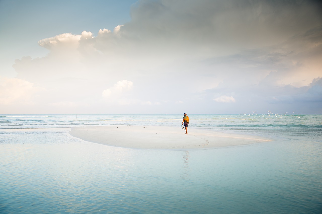 Image - sandbar water ocean sea wave