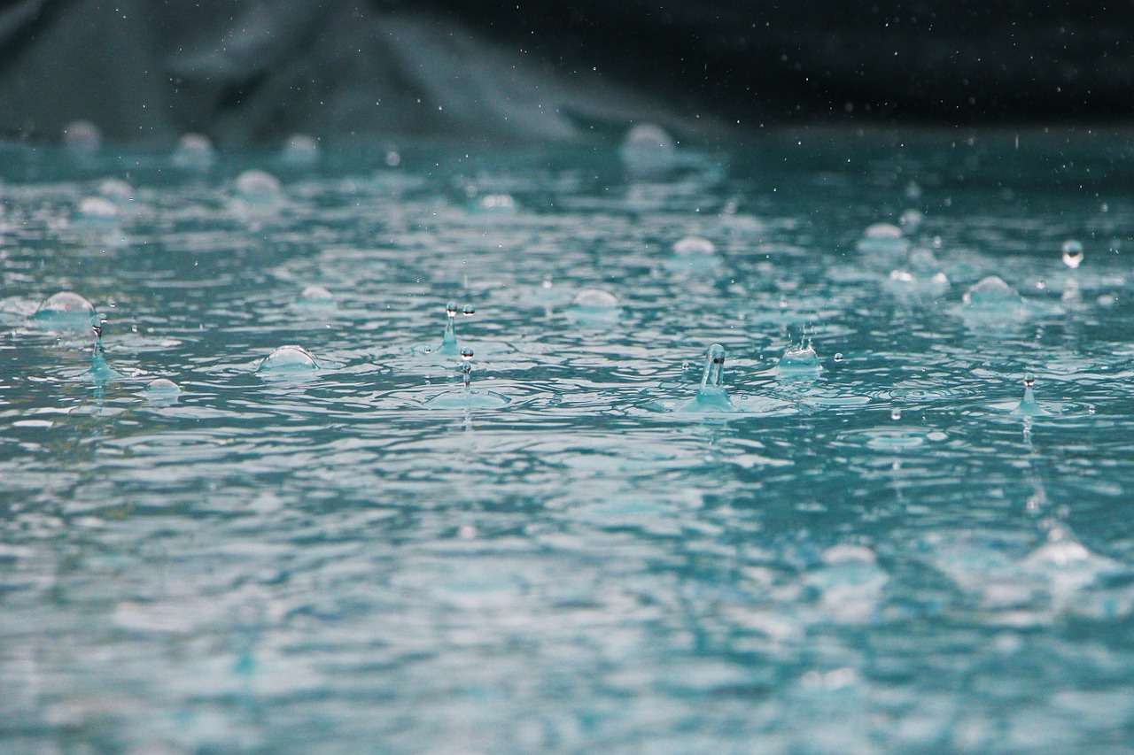 Image - drip rain drop water wet nature