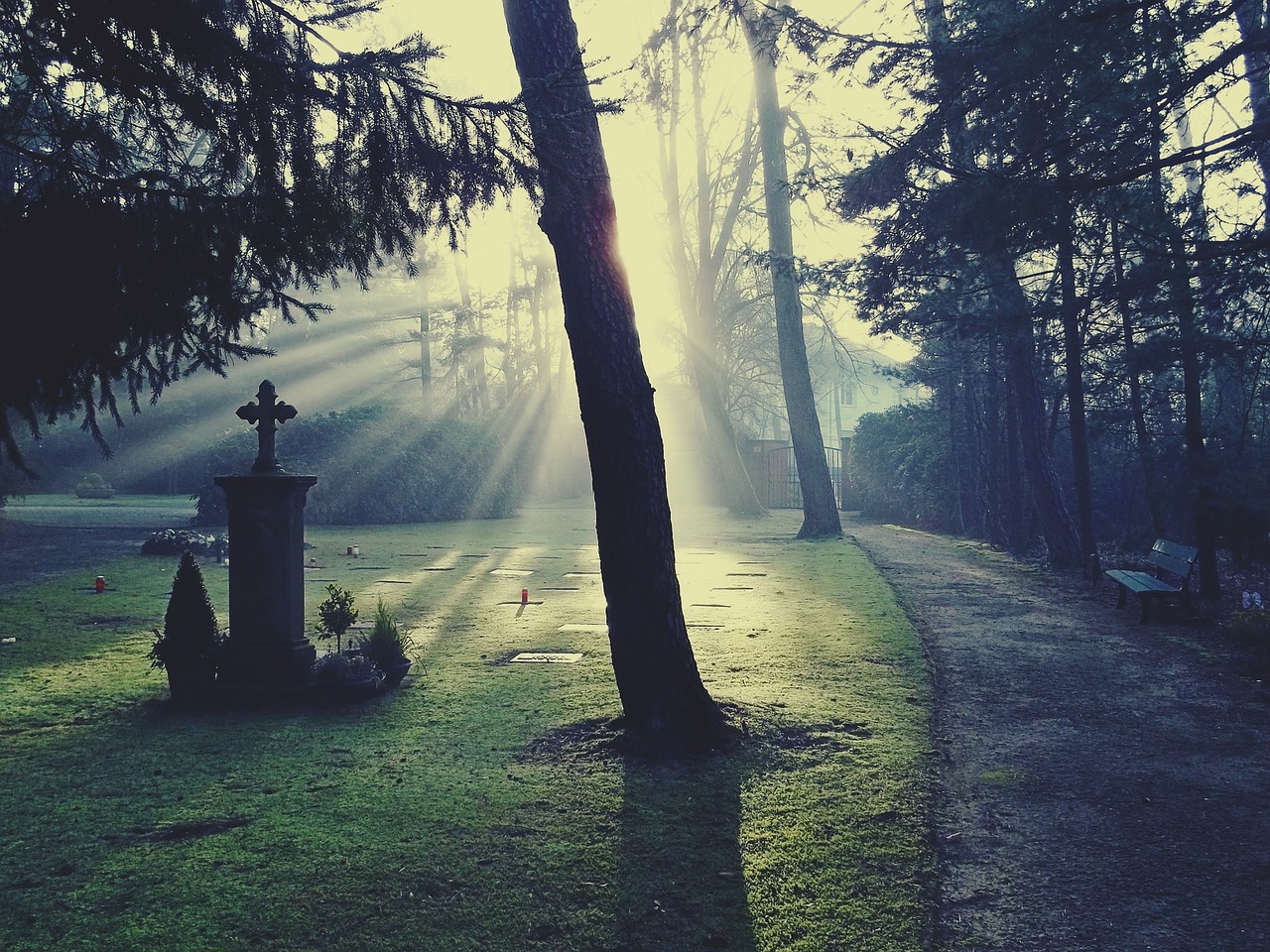Image - cemetery light glow sun sunshine