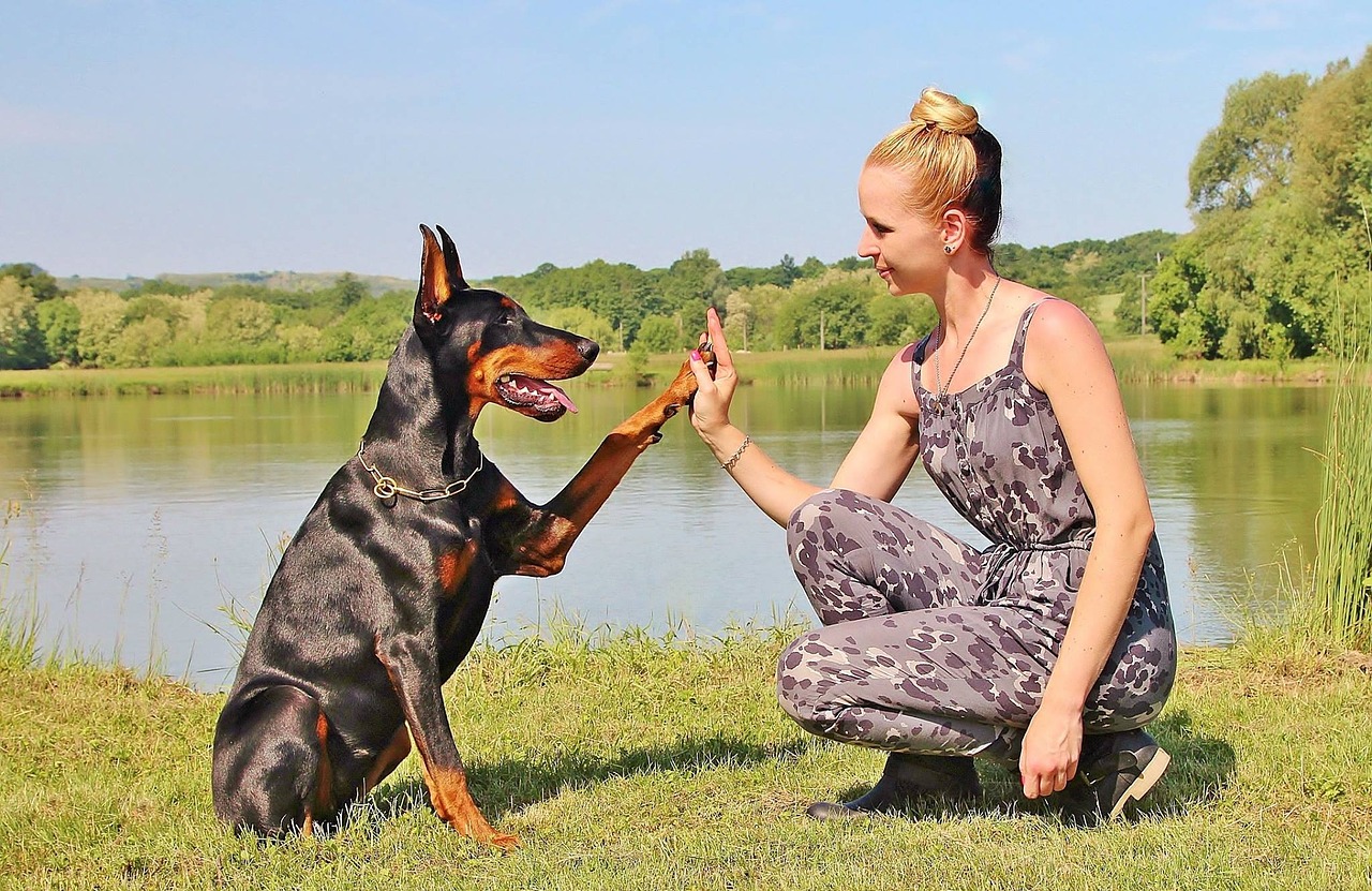 Image - woman dog pacsi paw hobby pet