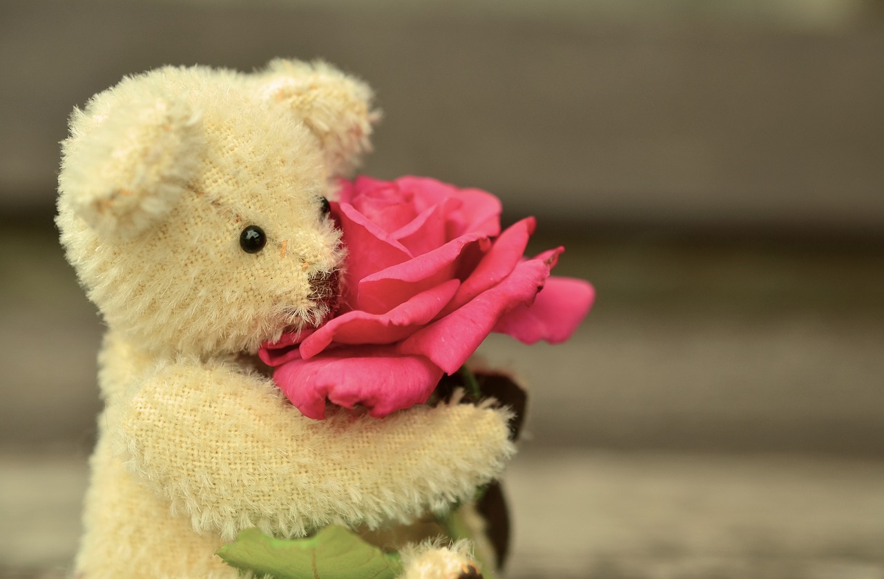 Image - teddy teddy bear rose love