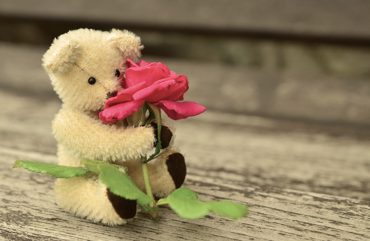 Image - teddy teddy bear rose romantic