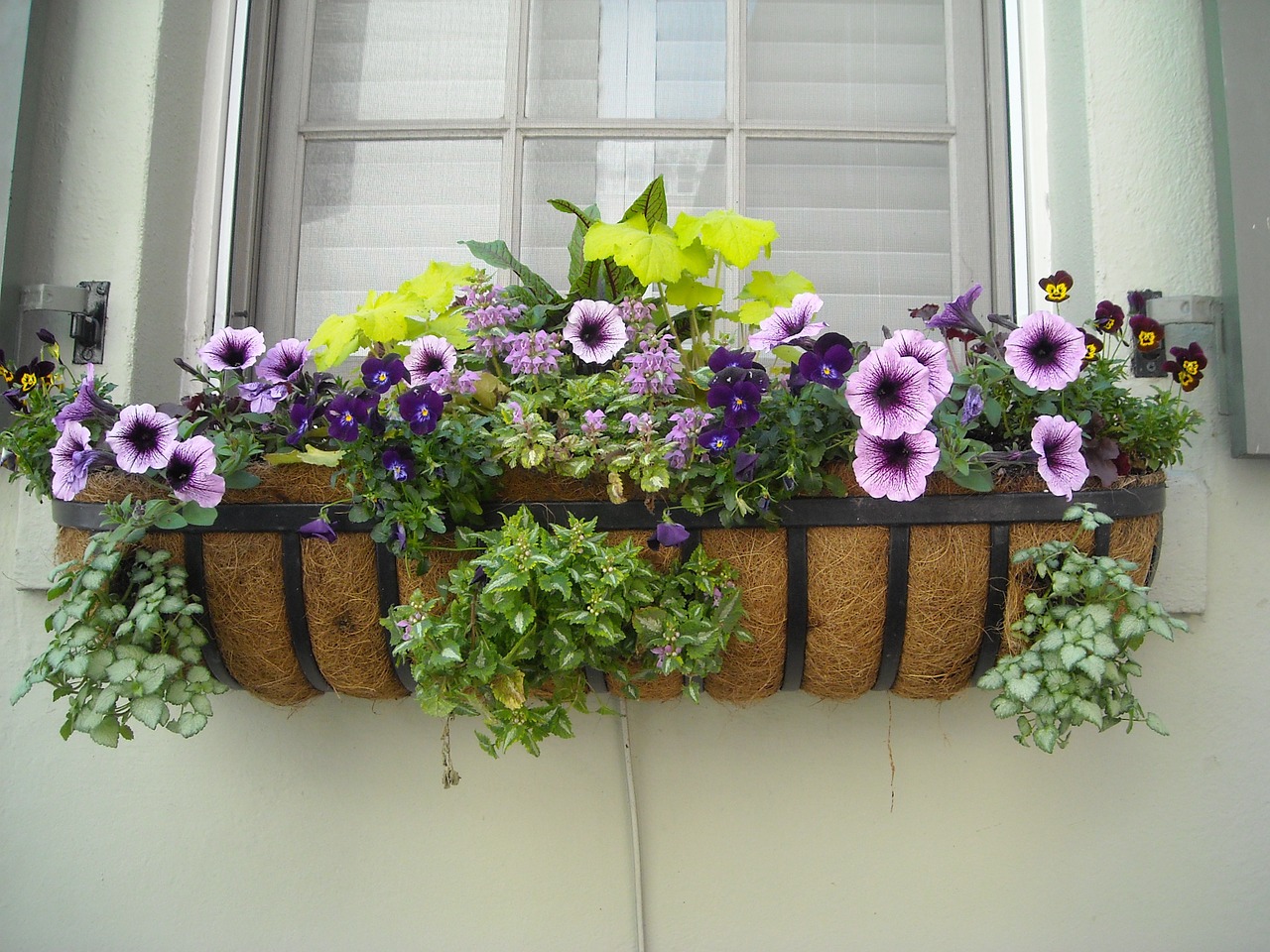 Image - window box flowers window box