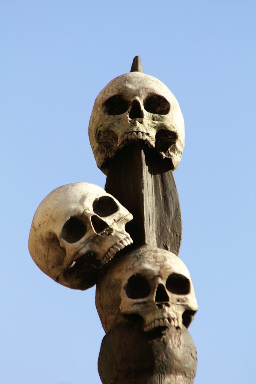 Image - human skulls skeleton head death