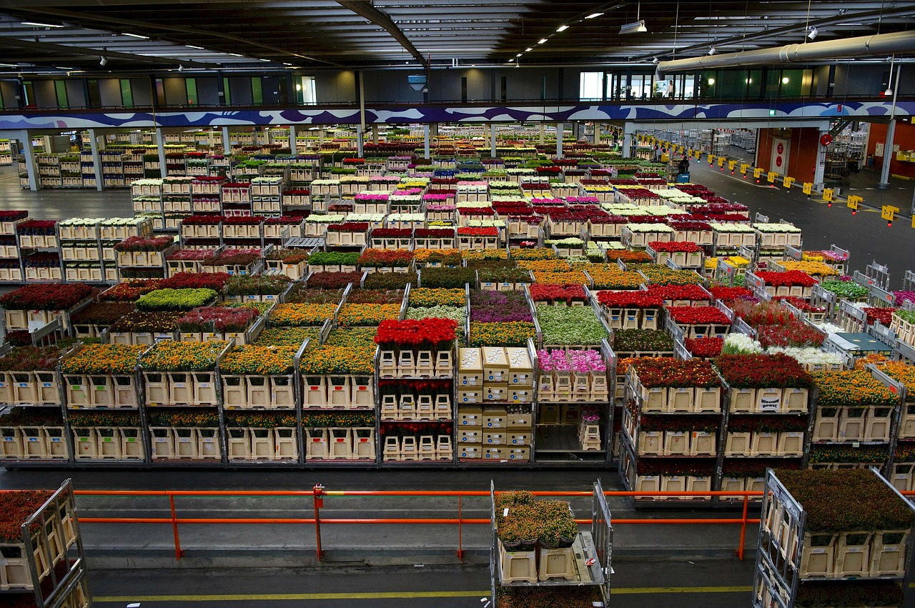 Image - holland flowers business warehouse
