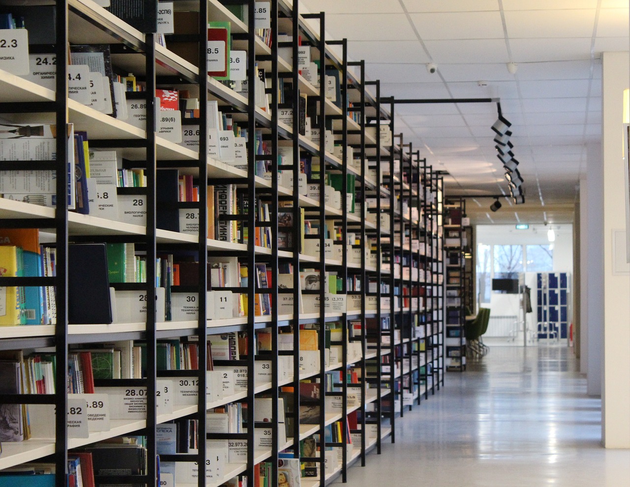 Image - library books shelving shelves