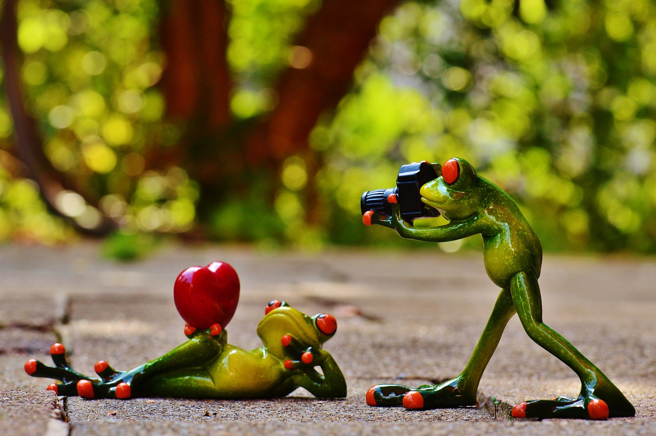 Image - frogs love valentine s day pose