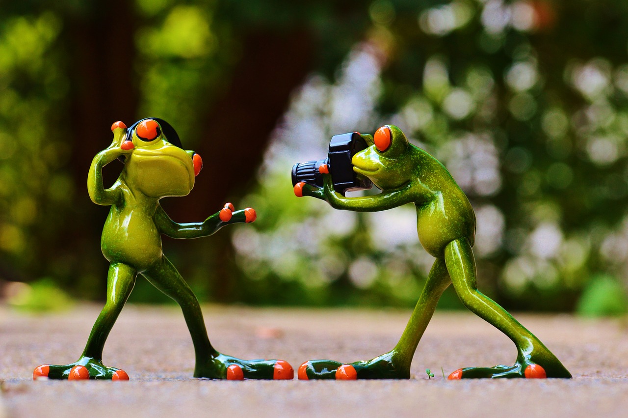 Image - frogs headphones music dance pose