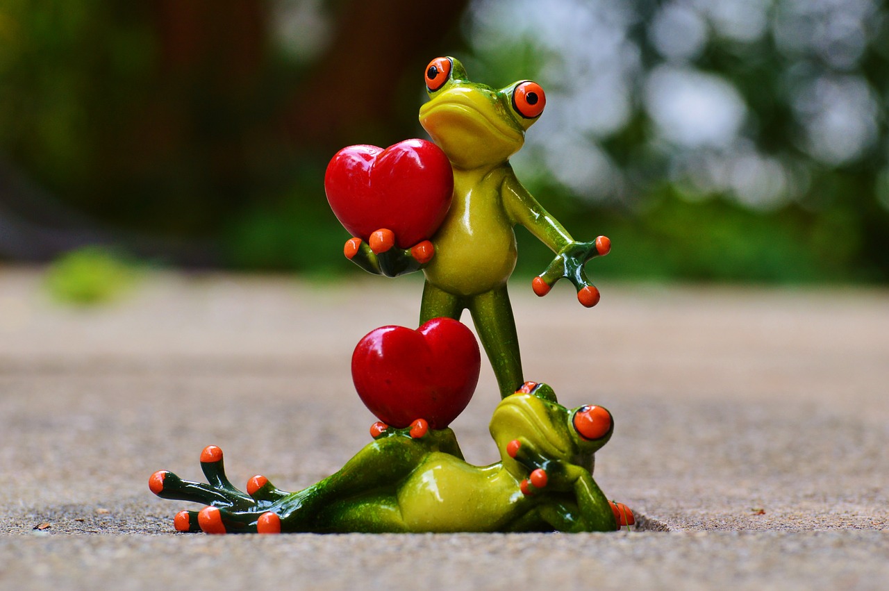 Image - frogs pair love valentine s day