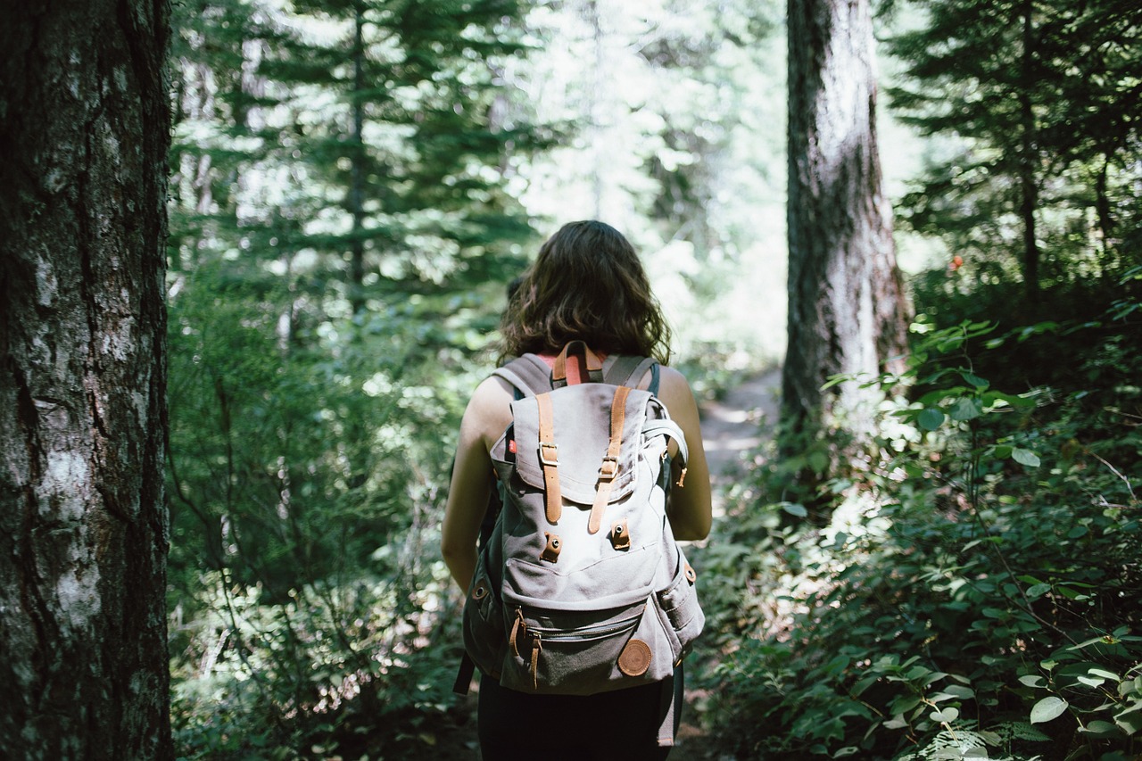 Image - hiker backpacker hiking woods