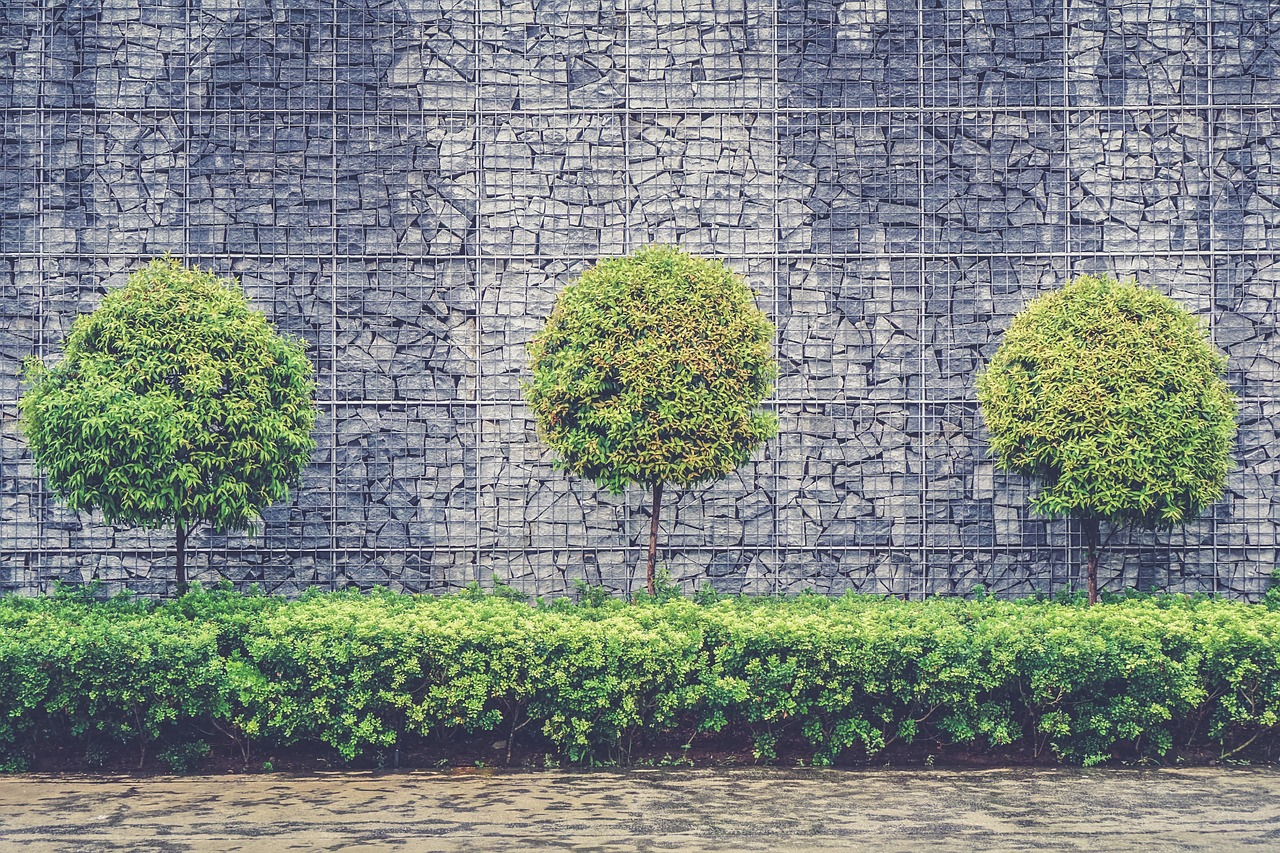 Image - trees wall architecture design