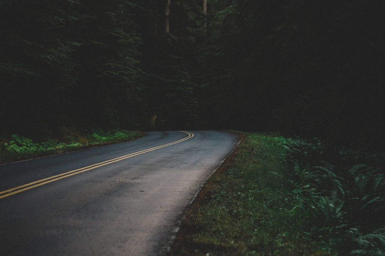 Image - street road night dark asphalt