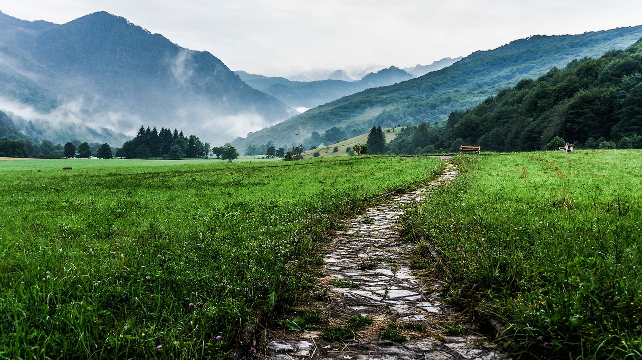 Image - way path outdoor landscape nature