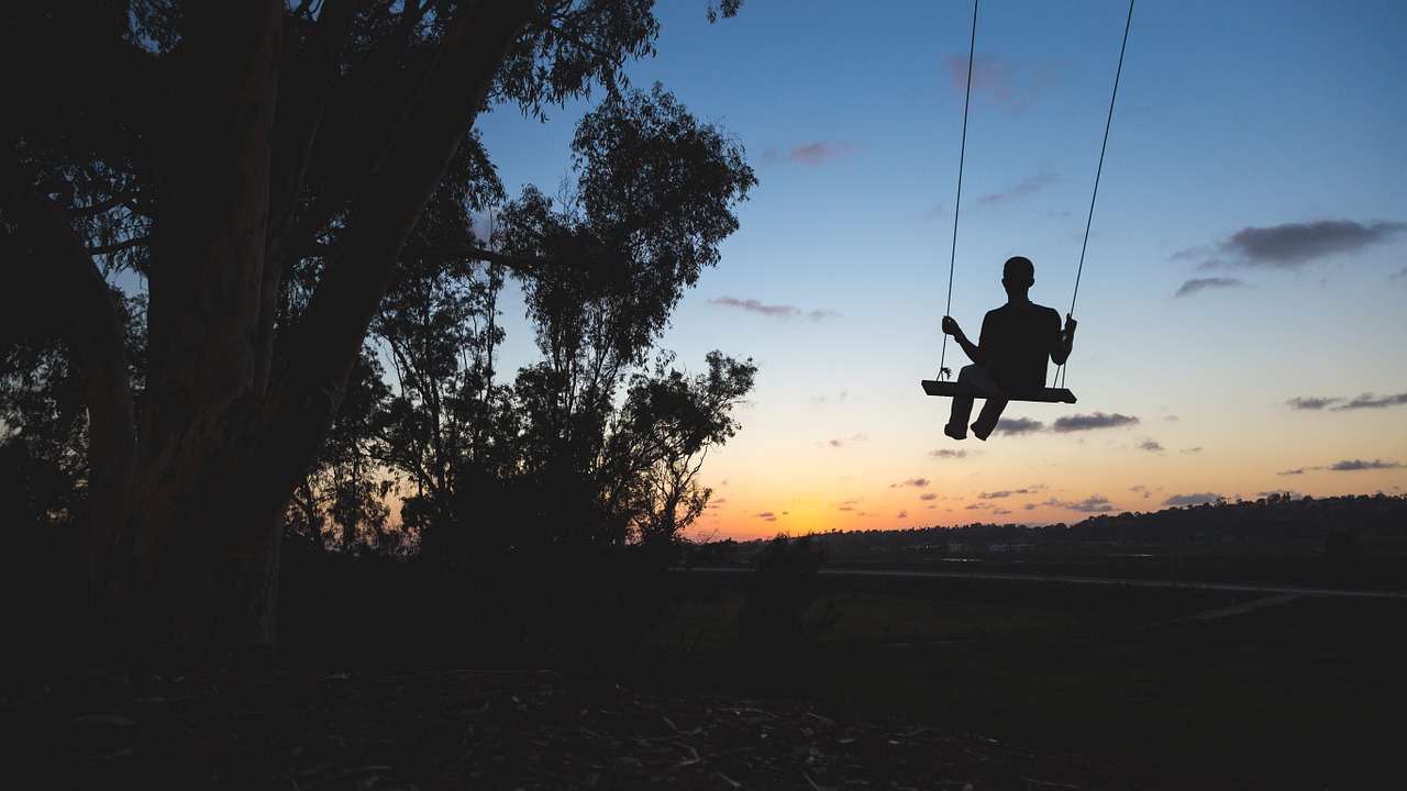 Image - swing evening person silhouette