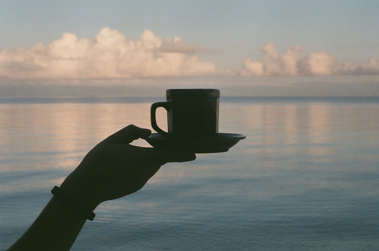 Image - coffee cup lake water silhouette