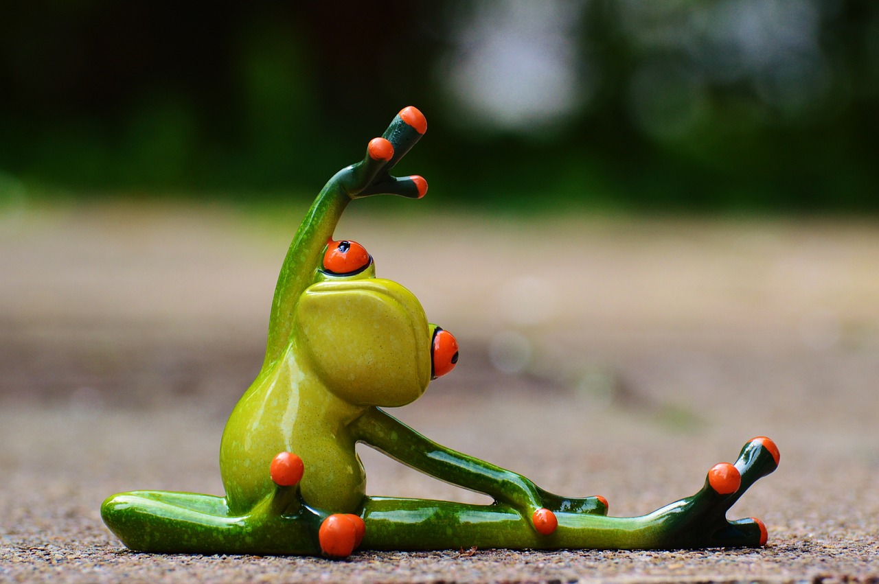 Image - sport gymnastics frog funny