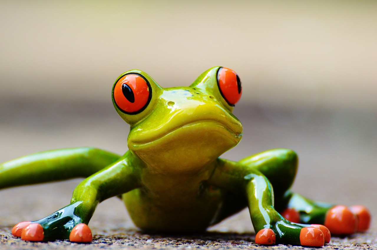 Image - frog funny figure cute animal fun