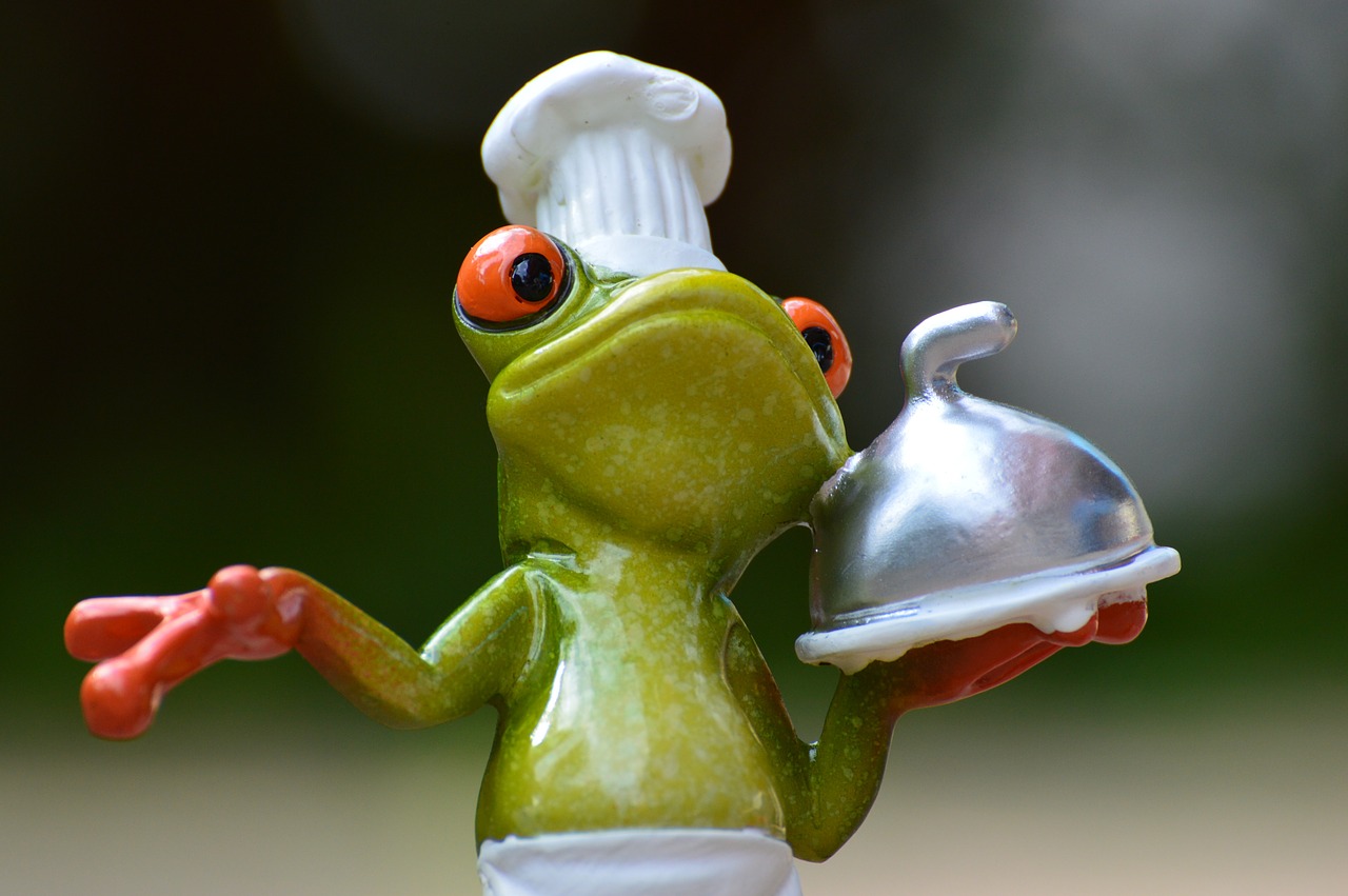 Image - frog cooking eat kitchen gourmet