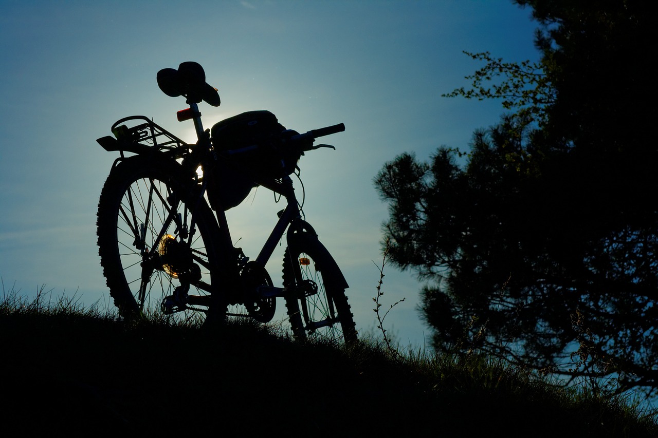 Image - bicycle silhouette bike biking