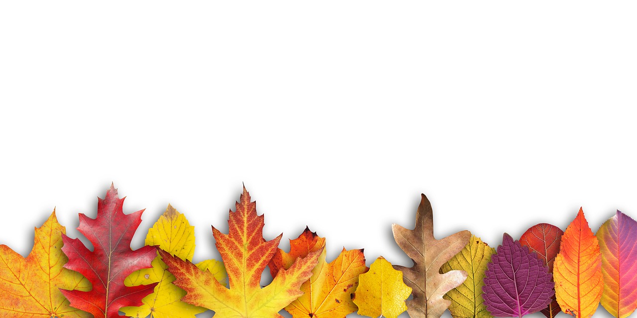 Image - autumn banner border text box